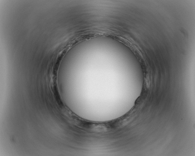 X0000113220520200909100925