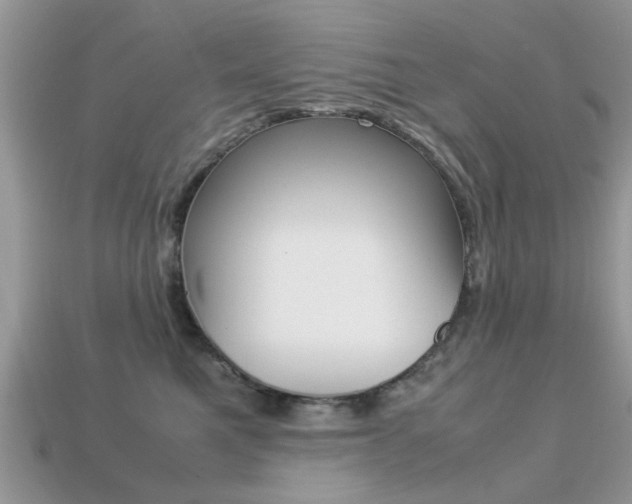 X0000113220521200909100925