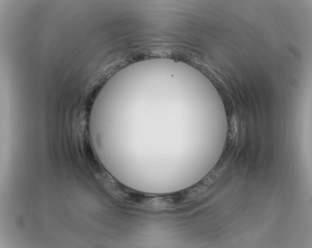 X0000113220522200909100925