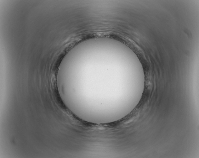X0000113220523200909100925