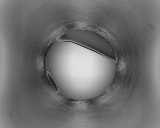 X0000113220524200909100925
