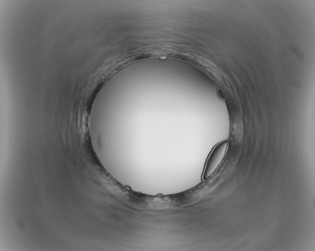 X0000113220525200909100925