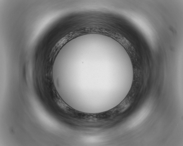 X0000113220526200909100925