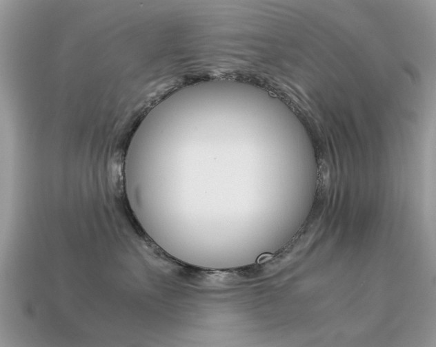 X0000113220527200909100925