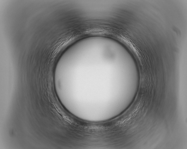 X0000113220529200909100924