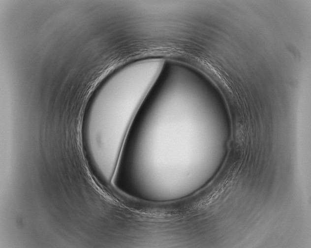 X0000113220530200909100924