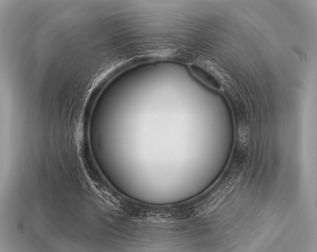 X0000113220532200909100924