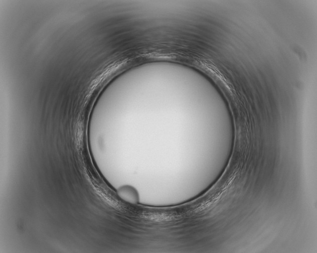 X0000113220533200909100924