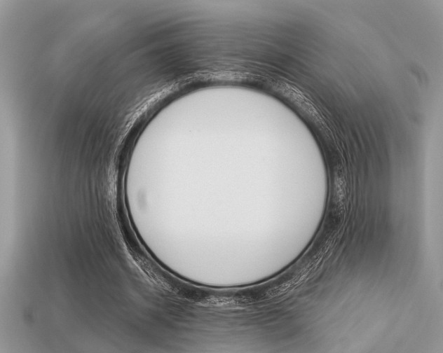 X0000113220534200909100924