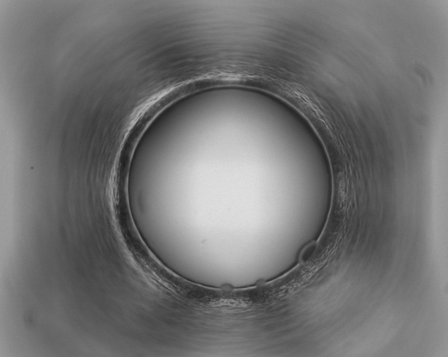 X0000113220536200909100924