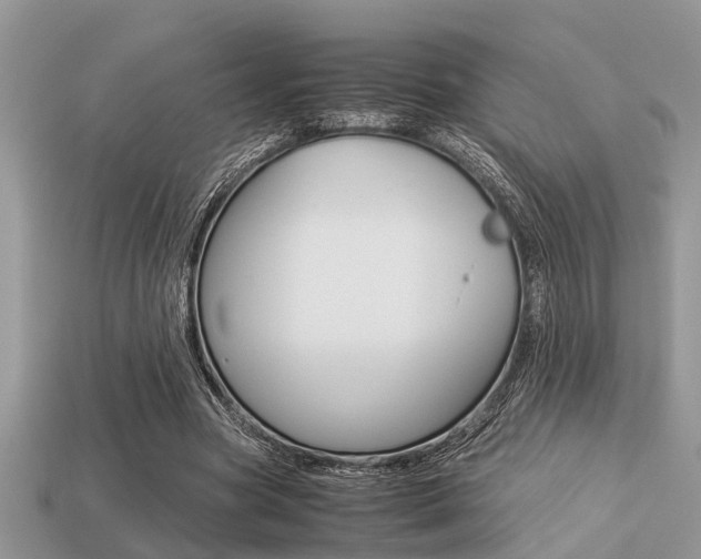 X0000113220537200909100925