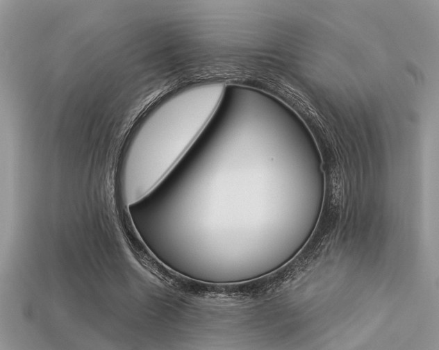 X0000113220538200909100925