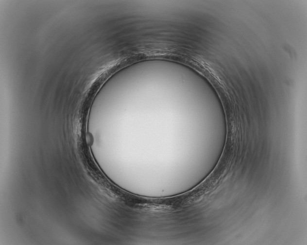 X0000113220539200909100925