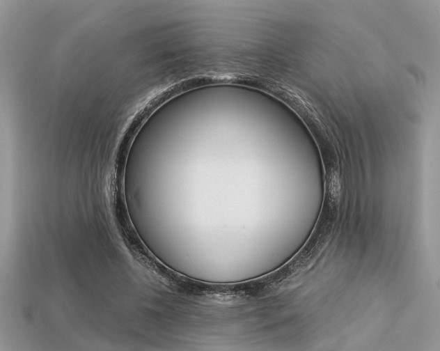 X0000113220540200909100925