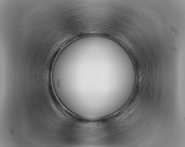 X0000113220542200909100925