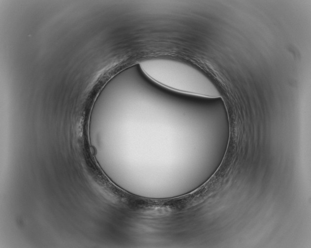 X0000113220543200909100925