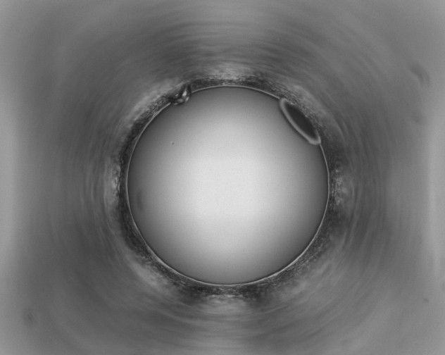 X0000113220544200909100925