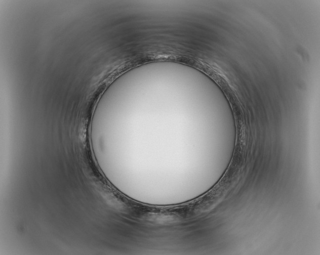 X0000113220545200909100925