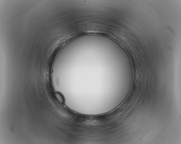 X0000113220547200909100925