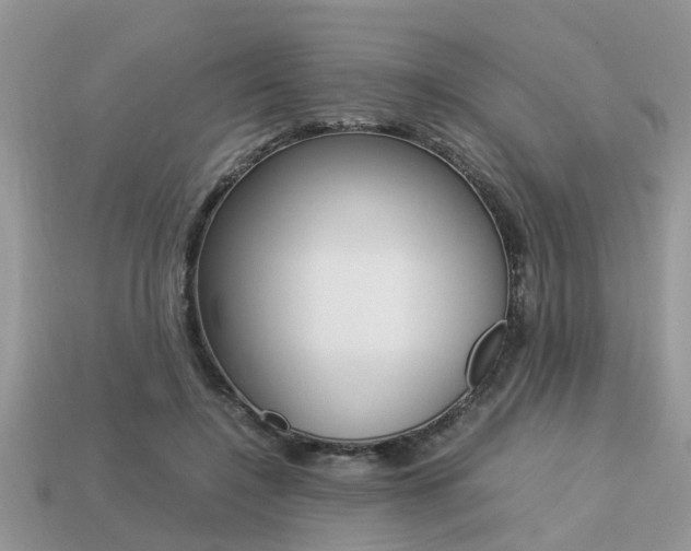 X0000113220548200909100925