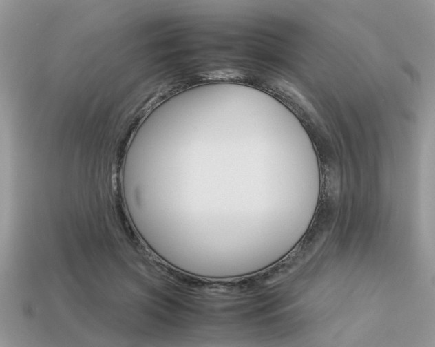 X0000113220549200909100925