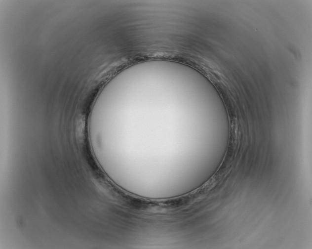 X0000113220550200909100925