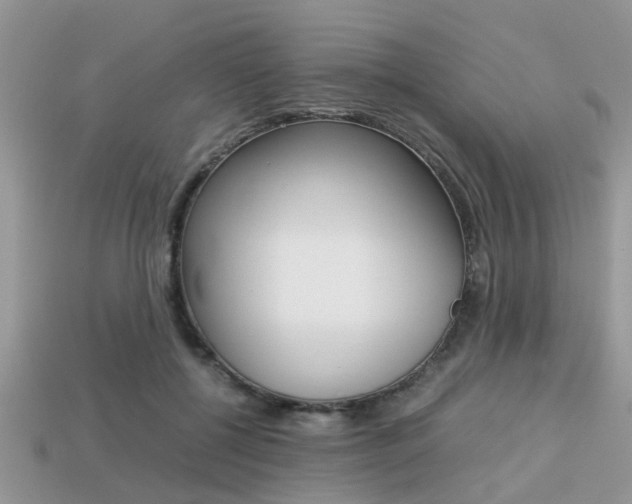 X0000113220552200909100925