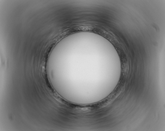 X0000113220553200909100925