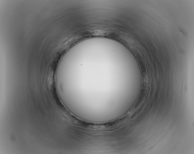 X0000113220554200909100925