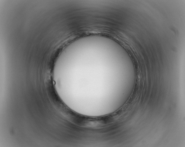X0000113220555200909100925