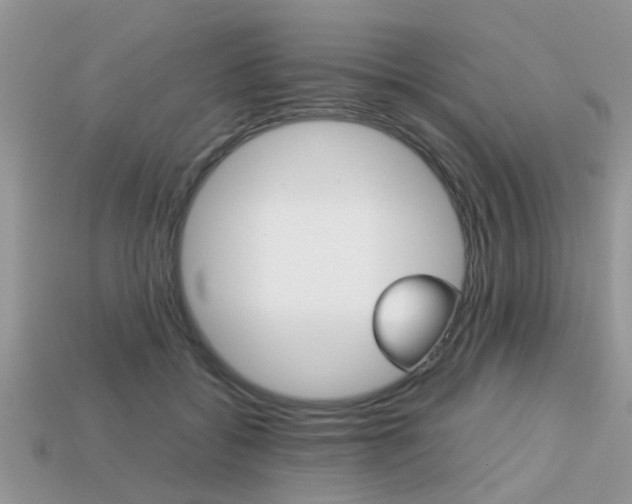 X0000113220556200909100925