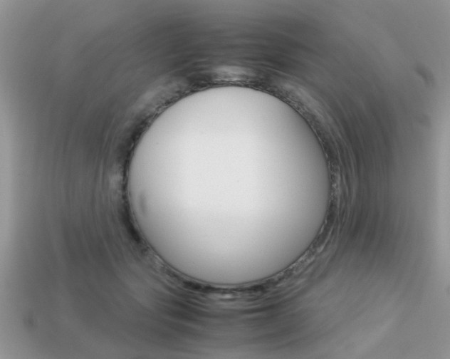 X0000113220557200909100925