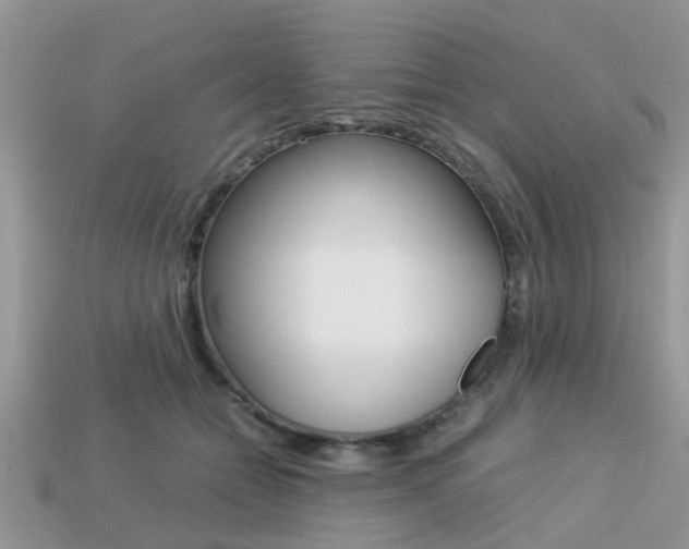 X0000113220558200909100925