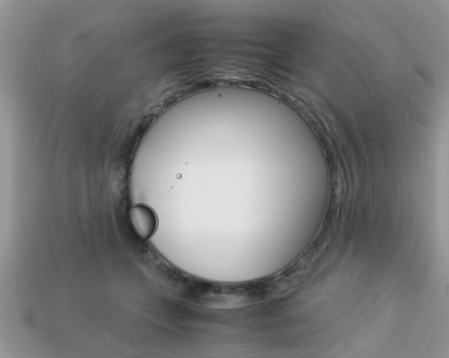 X0000113220559200909100925