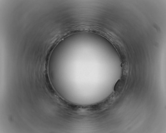 X0000113220560200909100925