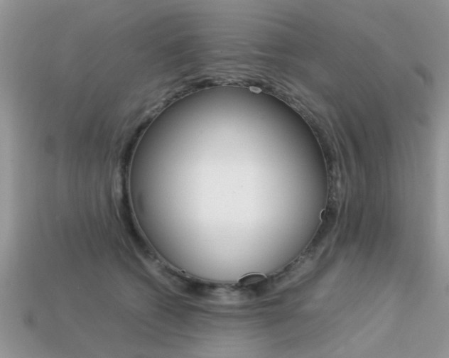 X0000113220562200909100925