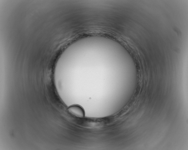 X0000113220563200909100925