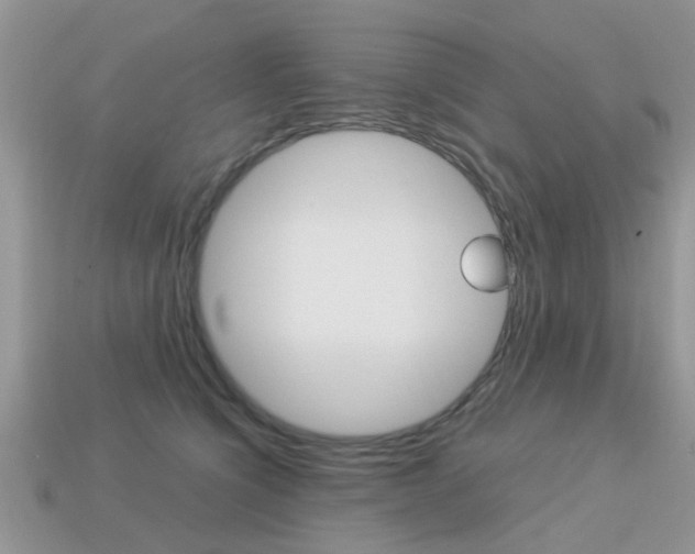 X0000113220564200909100925