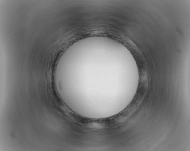 X0000113220565200909100925