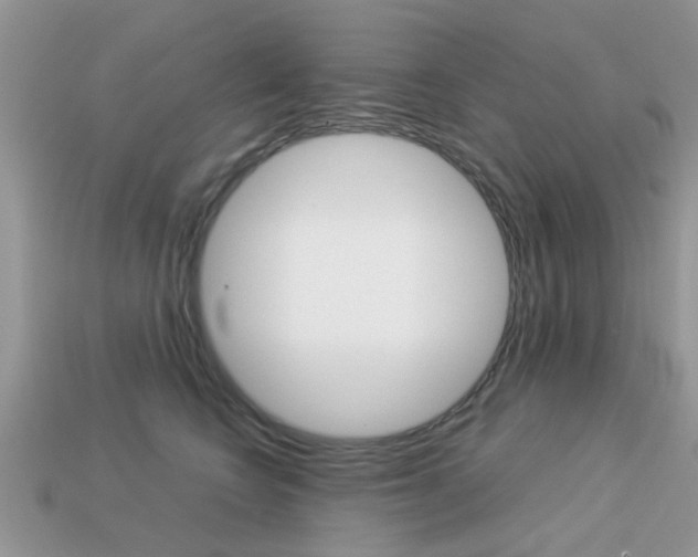 X0000113220566200909100925