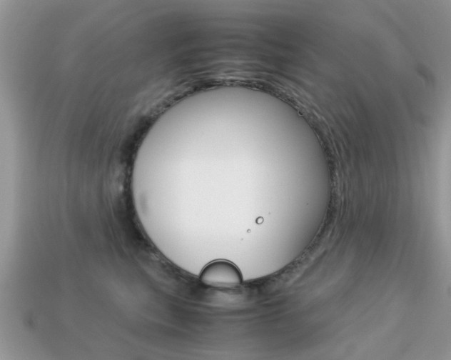 X0000113220567200909100925