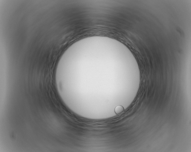 X0000113220568200909100925