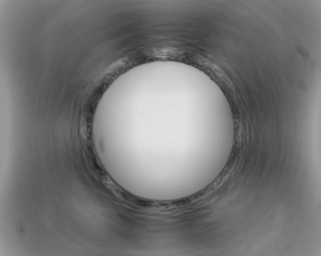 X0000113220569200909100925