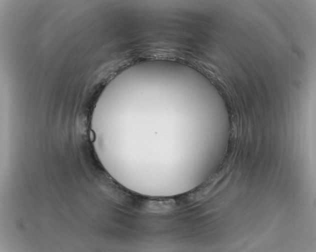 X0000113220571200909100925