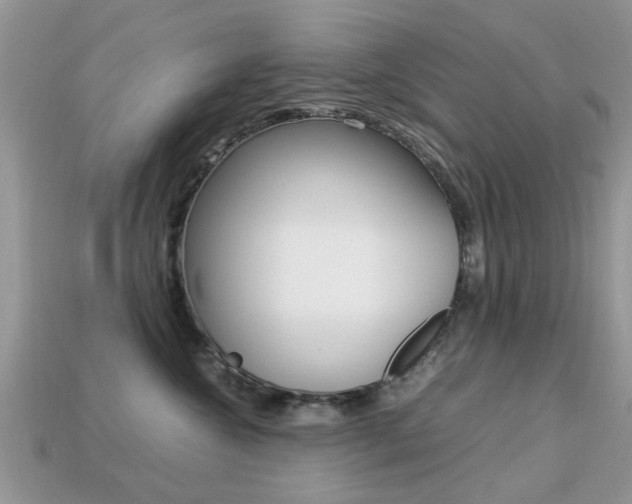 X0000113220572200909100925