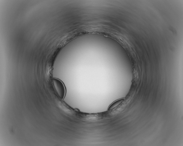 X0000113220574200909100925