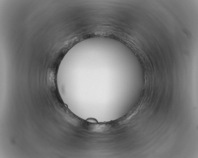 X0000113220575200909100925