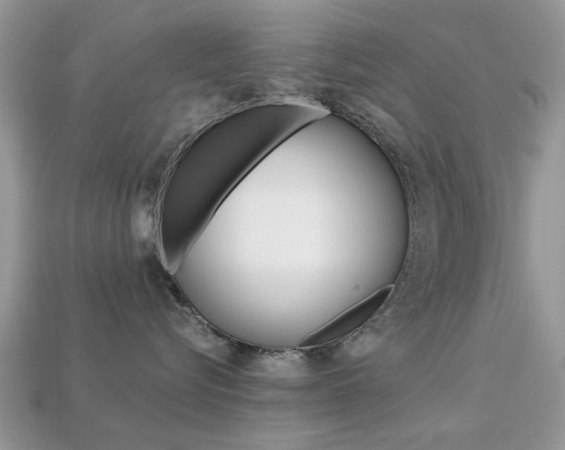 X0000113220576200909100925