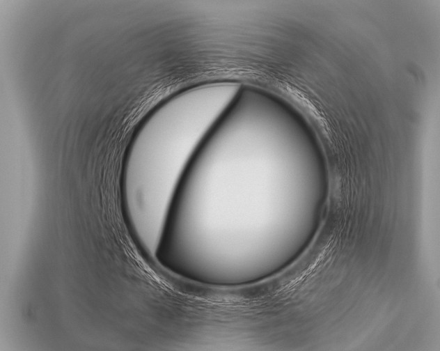 X0000113220577200909100924