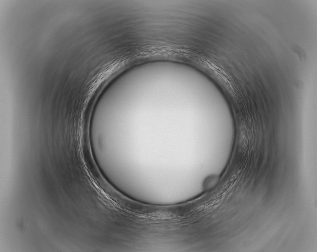 X0000113220578200909100924